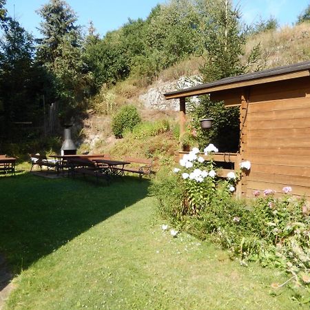 Penzion Manetin U Sv. Barbory Exterior foto